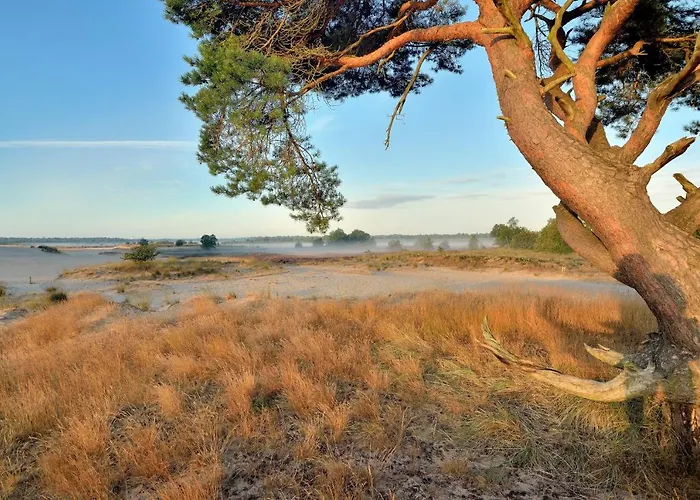 Couette-café Dreamzzz Boutique 4*