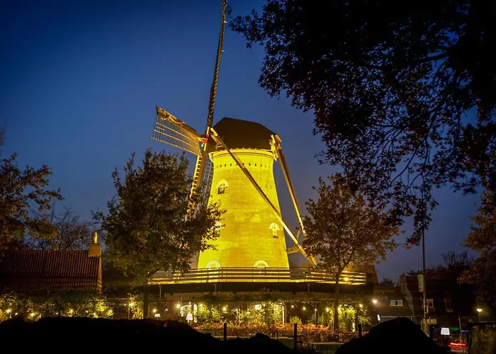 Dreamzzz Boutique Couette-café