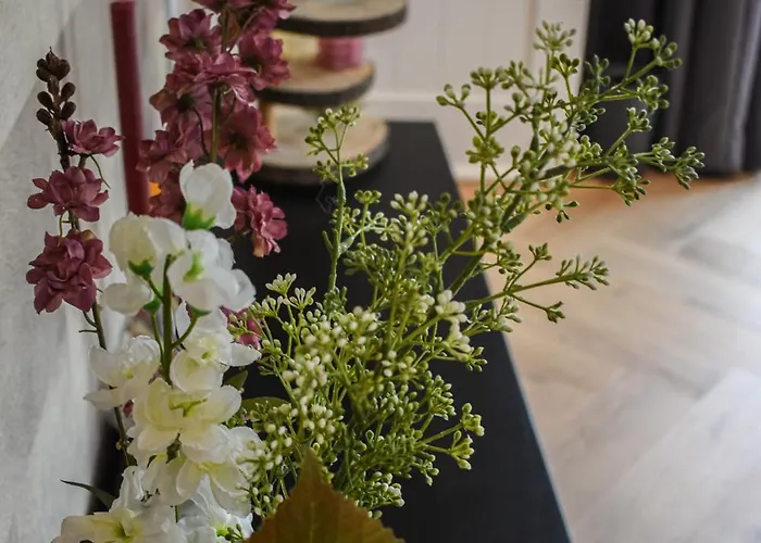 Dreamzzz Boutique Kaatsheuvel